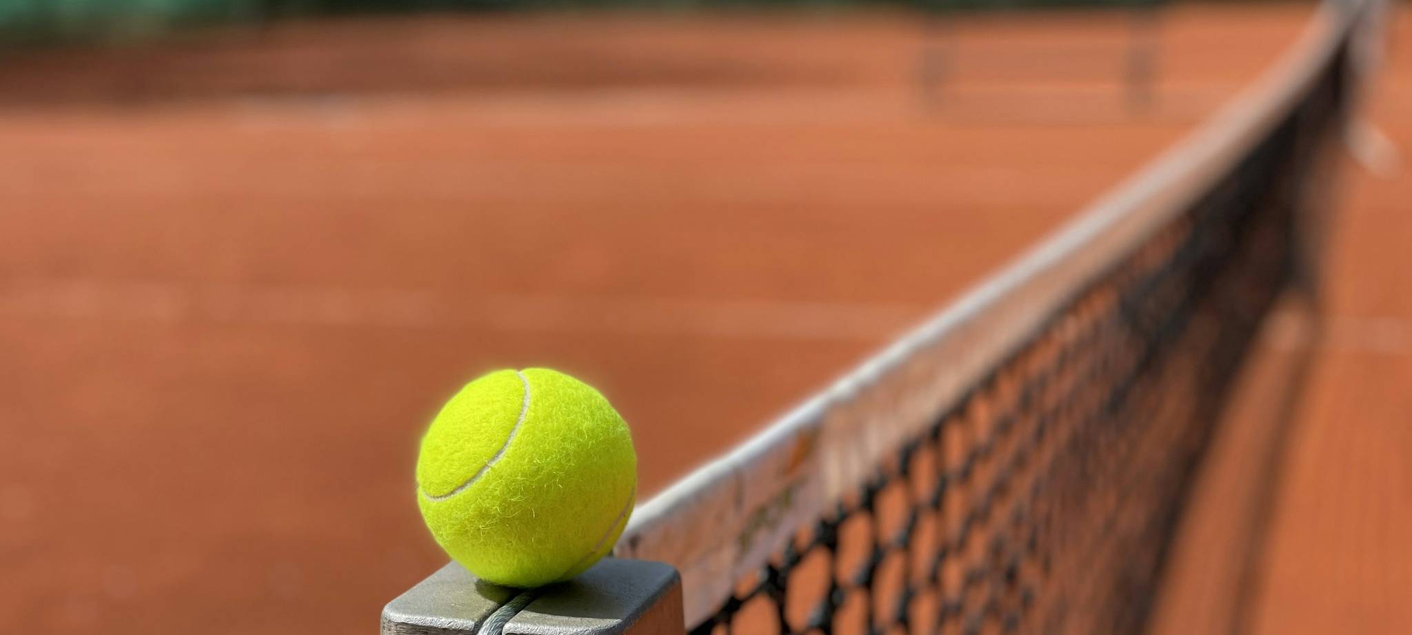 华体会体育官网